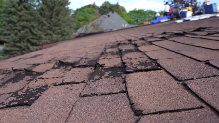 Best Storm Damage Roof Repair  in South Amherst, OH