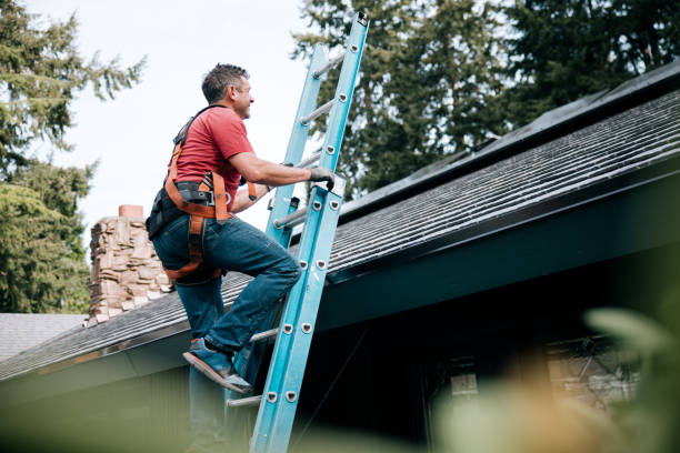 Best Roof Maintenance and Cleaning  in South Amherst, OH